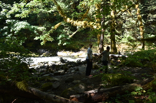 Filename=DSC_3112.JPG
Filesize=21181KiB
Dimensions=7360x4912
Date added=Sep 23, 2019 DSC_3112.JPG