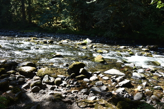 Filename=DSC_3113.JPG
Filesize=22120KiB
Dimensions=7360x4912
Date added=Sep 23, 2019 DSC_3113.JPG