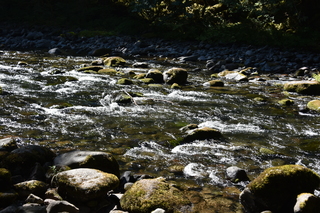 Filename=DSC_3114.JPG
Filesize=23074KiB
Dimensions=7360x4912
Date added=Sep 23, 2019 DSC_3114.JPG