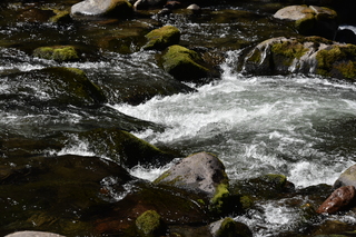 Filename=DSC_3116.JPG
Filesize=21990KiB
Dimensions=7360x4912
Date added=Sep 23, 2019 DSC_3116.JPG