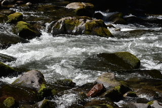 Filename=DSC_3117.JPG
Filesize=22508KiB
Dimensions=7360x4912
Date added=Sep 23, 2019 DSC_3117.JPG