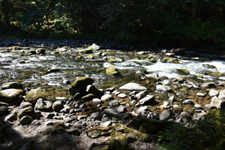 Filename=DSC_3118.JPG
Filesize=23294KiB
Dimensions=7360x4912
Date added=Sep 23, 2019 DSC_3118.JPG