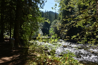 Filename=DSC_3119.JPG
Filesize=26538KiB
Dimensions=7360x4912
Date added=Sep 23, 2019 DSC_3119.JPG