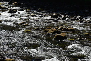 Filename=DSC_3120.JPG
Filesize=26422KiB
Dimensions=7360x4912
Date added=Sep 23, 2019 DSC_3120.JPG