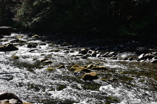 Filename=DSC_3121.JPG
Filesize=24017KiB
Dimensions=7360x4912
Date added=Sep 23, 2019 DSC_3121.JPG