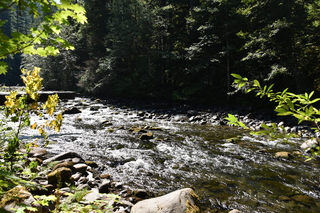 Filename=DSC_3122.JPG
Filesize=24991KiB
Dimensions=7360x4912
Date added=Sep 23, 2019 DSC_3122.JPG