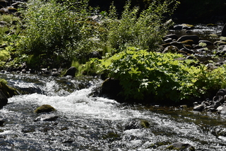 Filename=DSC_3124.JPG
Filesize=26667KiB
Dimensions=7360x4912
Date added=Sep 23, 2019 DSC_3124.JPG