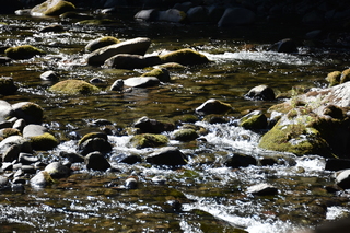 Filename=DSC_3125.JPG
Filesize=22561KiB
Dimensions=7360x4912
Date added=Sep 23, 2019 DSC_3125.JPG