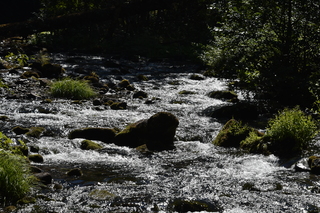 Filename=DSC_3126.JPG
Filesize=25483KiB
Dimensions=7360x4912
Date added=Sep 23, 2019 DSC_3126.JPG