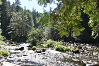 Filename=DSC_3129.JPG
Filesize=28051KiB
Dimensions=7360x4912
Date added=Sep 23, 2019 DSC_3129.JPG