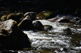 Filename=DSC_3130.JPG
Filesize=18724KiB
Dimensions=7360x4912
Date added=Sep 23, 2019 DSC_3130.JPG