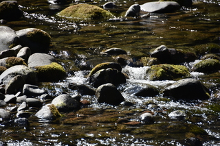 Filename=DSC_3132.JPG
Filesize=20873KiB
Dimensions=7360x4912
Date added=Sep 23, 2019 DSC_3132.JPG