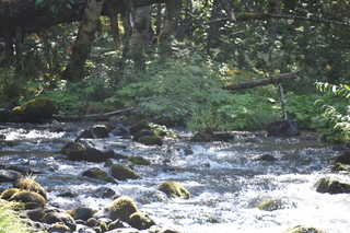 Filename=DSC_3133.JPG
Filesize=20513KiB
Dimensions=7360x4912
Date added=Sep 23, 2019 DSC_3133.JPG