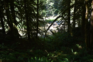 Filename=DSC_3136.JPG
Filesize=18331KiB
Dimensions=7360x4912
Date added=Sep 23, 2019 DSC_3136.JPG