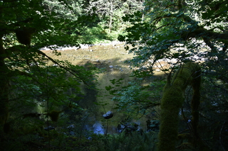 Filename=DSC_3137.JPG
Filesize=21393KiB
Dimensions=7360x4912
Date added=Sep 23, 2019 DSC_3137.JPG