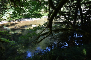 Filename=DSC_3138.JPG
Filesize=20553KiB
Dimensions=7360x4912
Date added=Sep 23, 2019 DSC_3138.JPG