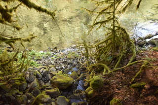 Filename=DSC_3139.JPG
Filesize=22306KiB
Dimensions=7360x4912
Date added=Sep 23, 2019 DSC_3139.JPG