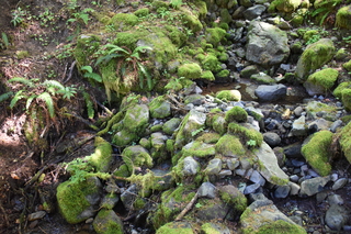 Filename=DSC_3140.JPG
Filesize=23670KiB
Dimensions=7360x4912
Date added=Sep 23, 2019 DSC_3140.JPG