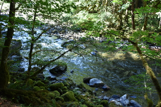 Filename=DSC_3141.JPG
Filesize=24423KiB
Dimensions=7360x4912
Date added=Sep 23, 2019 DSC_3141.JPG