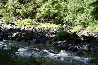 Filename=DSC_3142.JPG
Filesize=23453KiB
Dimensions=7360x4912
Date added=Sep 23, 2019 DSC_3142.JPG