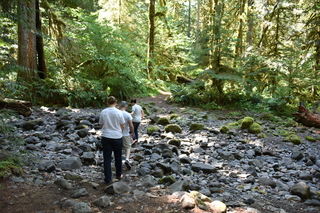 Filename=DSC_3143.JPG
Filesize=23321KiB
Dimensions=7360x4912
Date added=Sep 23, 2019 DSC_3143.JPG