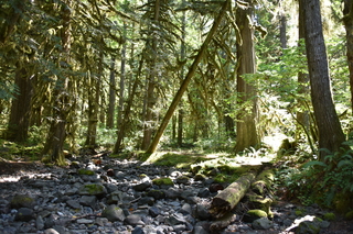 Filename=DSC_3144.JPG
Filesize=24014KiB
Dimensions=7360x4912
Date added=Sep 23, 2019 DSC_3144.JPG