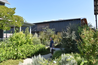 Filename=DSC_3150.JPG
Filesize=23794KiB
Dimensions=7360x4912
Date added=Sep 23, 2019 DSC_3150.JPG