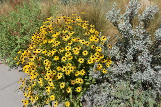 Filename=DSC_3158.JPG
Filesize=26914KiB
Dimensions=7360x4912
Date added=Sep 23, 2019 DSC_3158.JPG