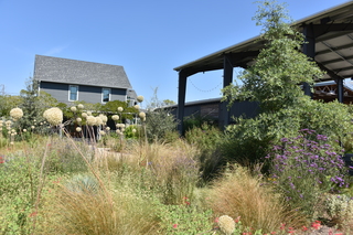 Filename=DSC_3159.JPG
Filesize=24963KiB
Dimensions=7360x4912
Date added=Sep 23, 2019 DSC_3159.JPG