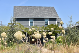 Filename=DSC_3160.JPG
Filesize=23982KiB
Dimensions=7360x4912
Date added=Sep 23, 2019 DSC_3160.JPG