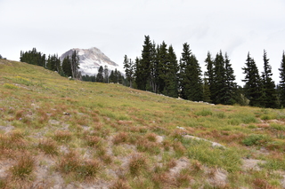 Filename=DSC_3186.JPG
Filesize=21959KiB
Dimensions=7360x4912
Date added=Sep 23, 2019 DSC_3186.JPG