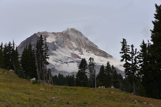 Filename=DSC_3187.JPG
Filesize=19346KiB
Dimensions=7360x4912
Date added=Sep 23, 2019 DSC_3187.JPG