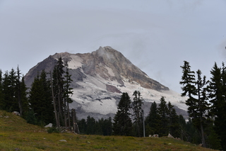 Filename=DSC_3191.JPG
Filesize=18519KiB
Dimensions=7360x4912
Date added=Sep 23, 2019 DSC_3191.JPG