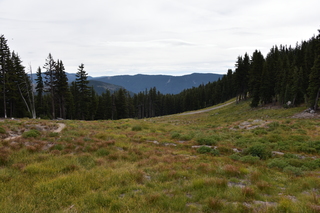 Filename=DSC_3199.JPG
Filesize=20148KiB
Dimensions=7360x4912
Date added=Sep 23, 2019 DSC_3199.JPG