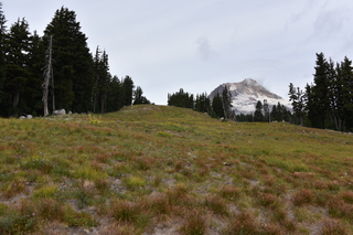 Filename=DSC_3200.JPG
Filesize=20827KiB
Dimensions=7360x4912
Date added=Sep 23, 2019 DSC_3200.JPG