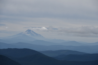 Filename=DSC_3204.JPG
Filesize=14590KiB
Dimensions=7360x4912
Date added=Sep 23, 2019 DSC_3204.JPG