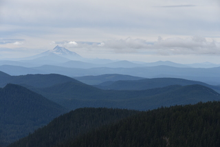 Filename=DSC_3211.JPG
Filesize=14750KiB
Dimensions=7360x4912
Date added=Sep 23, 2019 DSC_3211.JPG