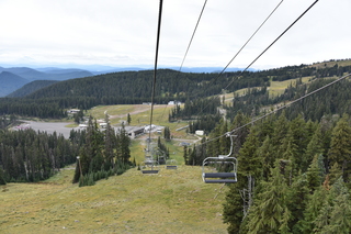 Filename=DSC_3213.JPG
Filesize=20031KiB
Dimensions=7360x4912
Date added=Sep 23, 2019 DSC_3213.JPG