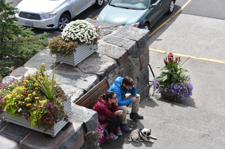 Filename=DSC_3232.JPG
Filesize=23031KiB
Dimensions=7360x4912
Date added=Sep 23, 2019 DSC_3232.JPG