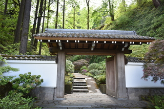 Filename=DSC_3531.JPG
Filesize=21653KiB
Dimensions=7360x4912
Date added=May 06, 2021 DSC_3531.JPG