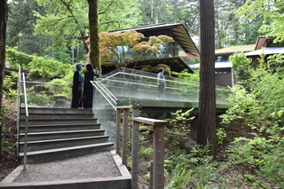 Filename=DSC_3538.JPG
Filesize=23358KiB
Dimensions=7360x4912
Date added=May 06, 2021 DSC_3538.JPG