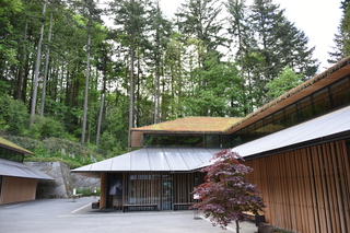 Filename=DSC_3542.JPG
Filesize=23212KiB
Dimensions=7360x4912
Date added=May 06, 2021 DSC_3542.JPG