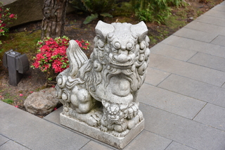 Filename=DSC_3543.JPG
Filesize=19437KiB
Dimensions=7360x4912
Date added=May 06, 2021 DSC_3543.JPG