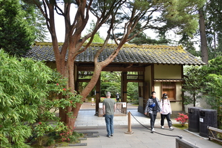 Filename=DSC_3544.JPG
Filesize=22390KiB
Dimensions=7360x4912
Date added=May 06, 2021 DSC_3544.JPG