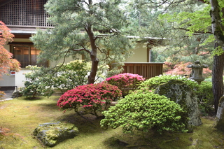 Filename=DSC_3554.JPG
Filesize=24138KiB
Dimensions=7360x4912
Date added=May 06, 2021 DSC_3554.JPG