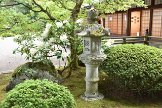 Filename=DSC_3557.JPG
Filesize=23222KiB
Dimensions=7360x4912
Date added=May 06, 2021 DSC_3557.JPG