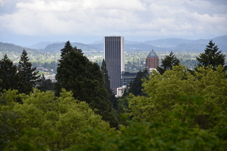 Filename=DSC_3558.JPG
Filesize=17384KiB
Dimensions=7360x4912
Date added=May 06, 2021 DSC_3558.JPG