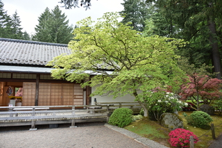 Filename=DSC_3560.JPG
Filesize=24117KiB
Dimensions=7360x4912
Date added=May 06, 2021 DSC_3560.JPG