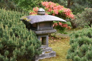 Filename=DSC_3564.JPG
Filesize=22524KiB
Dimensions=7360x4912
Date added=May 06, 2021 DSC_3564.JPG