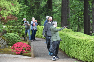 Filename=DSC_3566.JPG
Filesize=21050KiB
Dimensions=7360x4912
Date added=May 06, 2021 DSC_3566.JPG